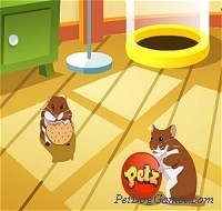 Hamsterz Superstarz