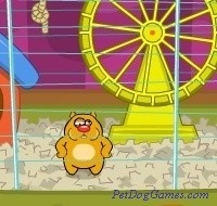 Chubby Hamster