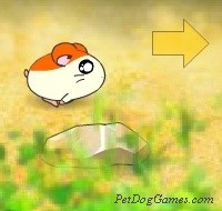 Running Hamster