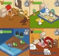 Animal Shelter