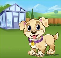 My Puppy Play Day